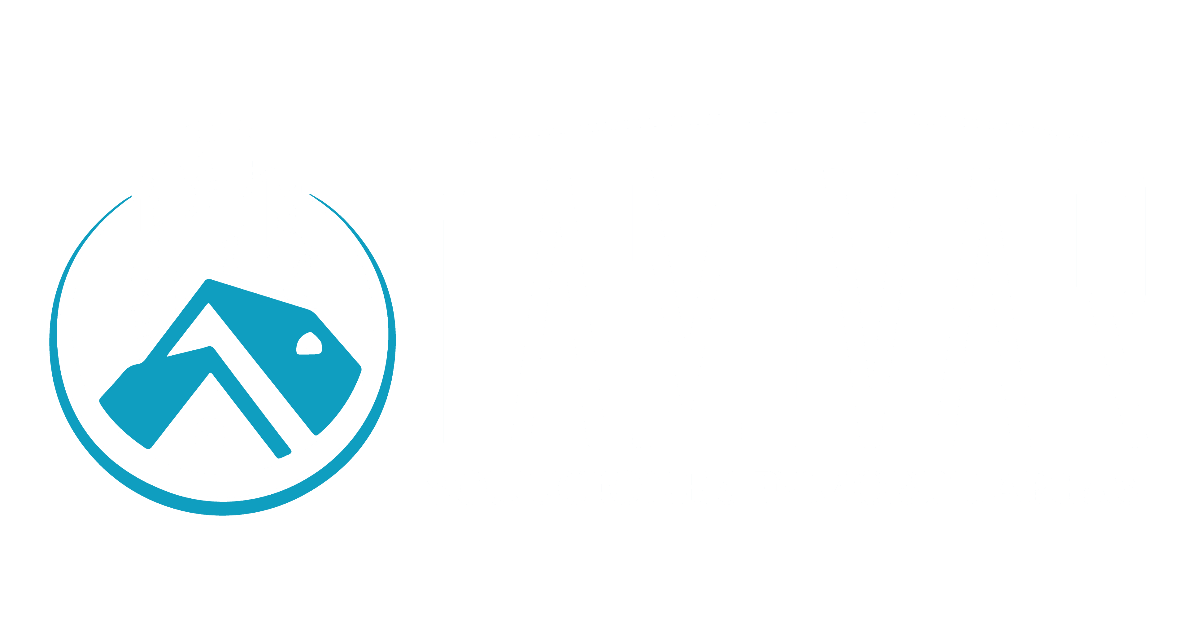Tamivar Logo