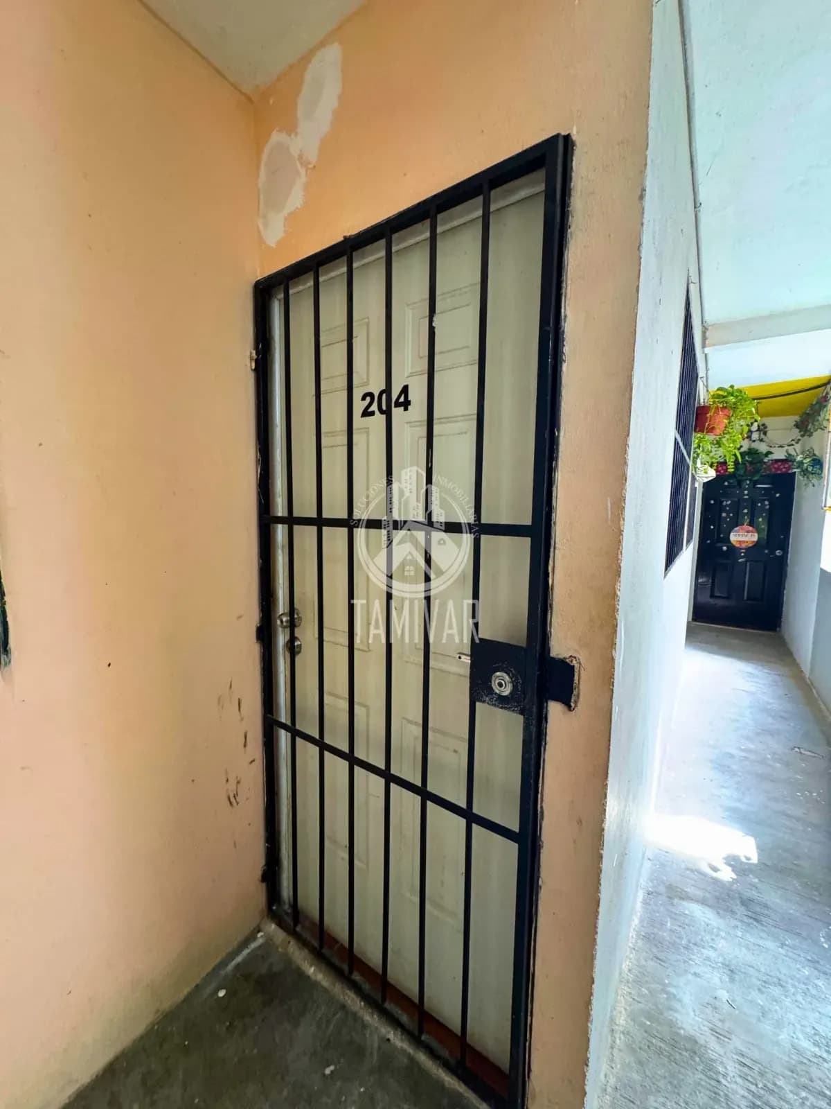 ENTRADA