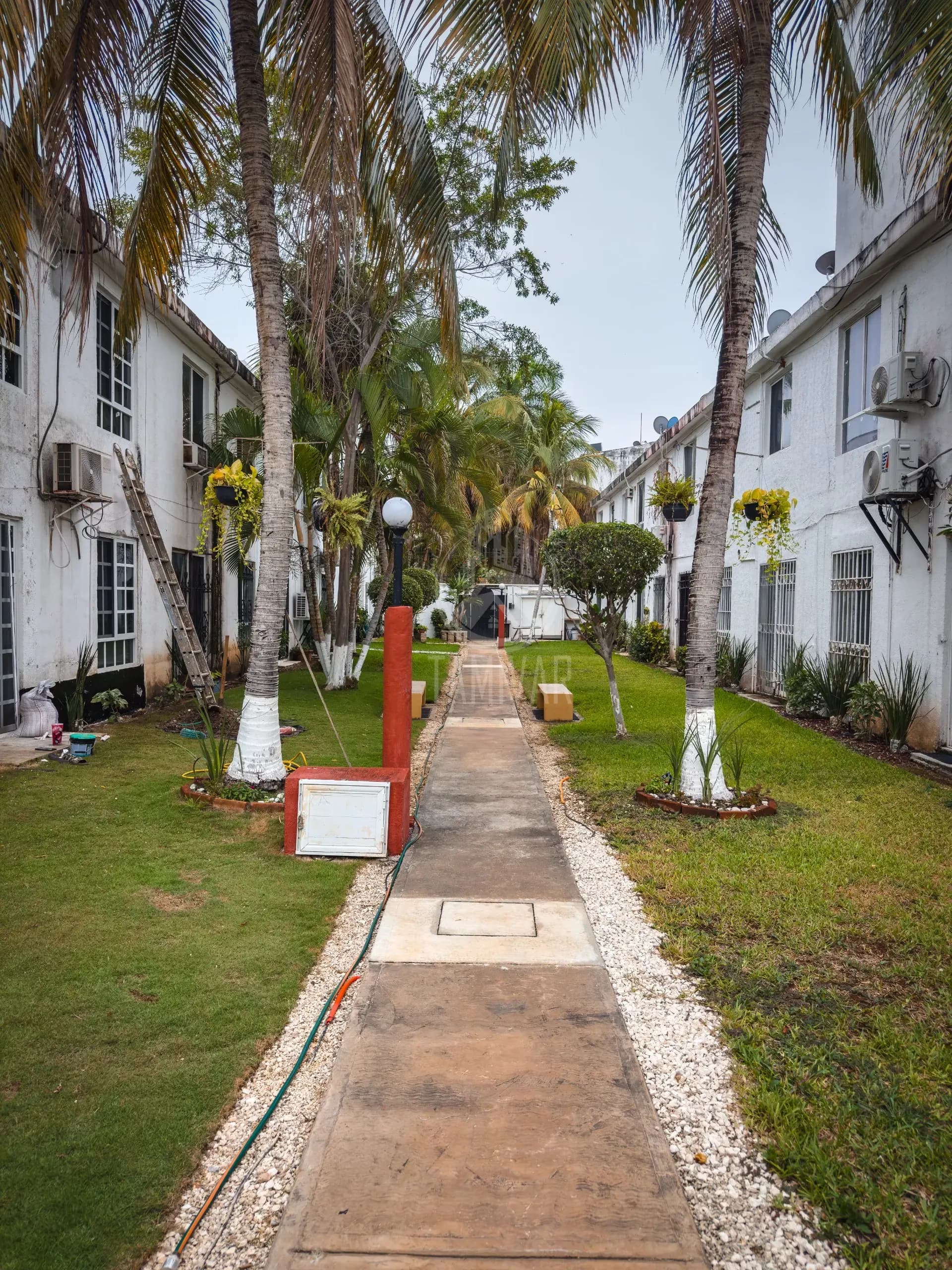 ÁREA VERDE