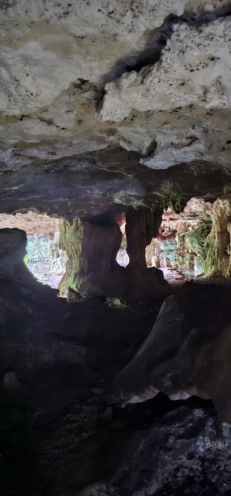 CENOTE EN YALCOBÁ, VALLADOLID