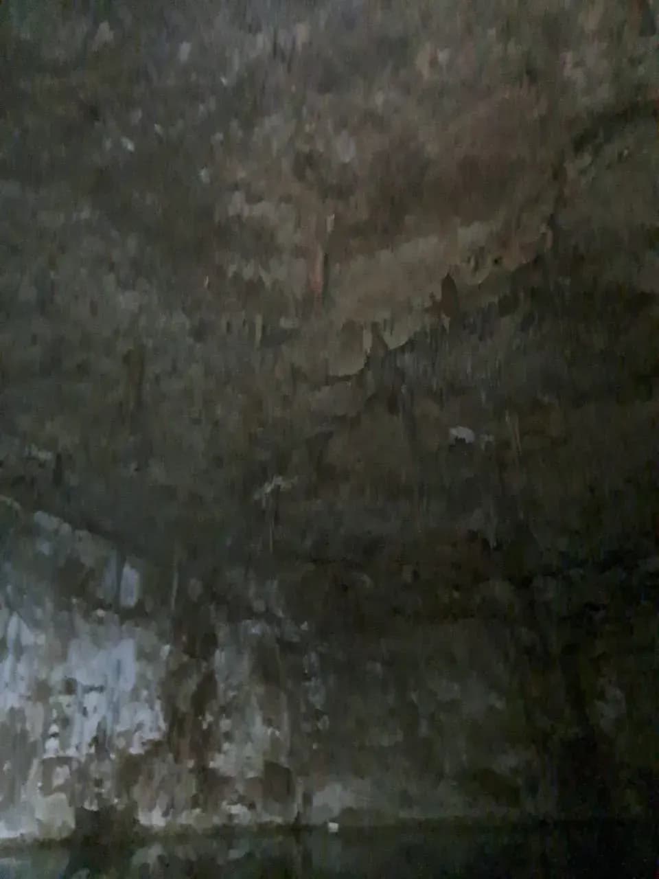 WhatsApp Image 2025 05 09 at 1.04.12 PM (2)