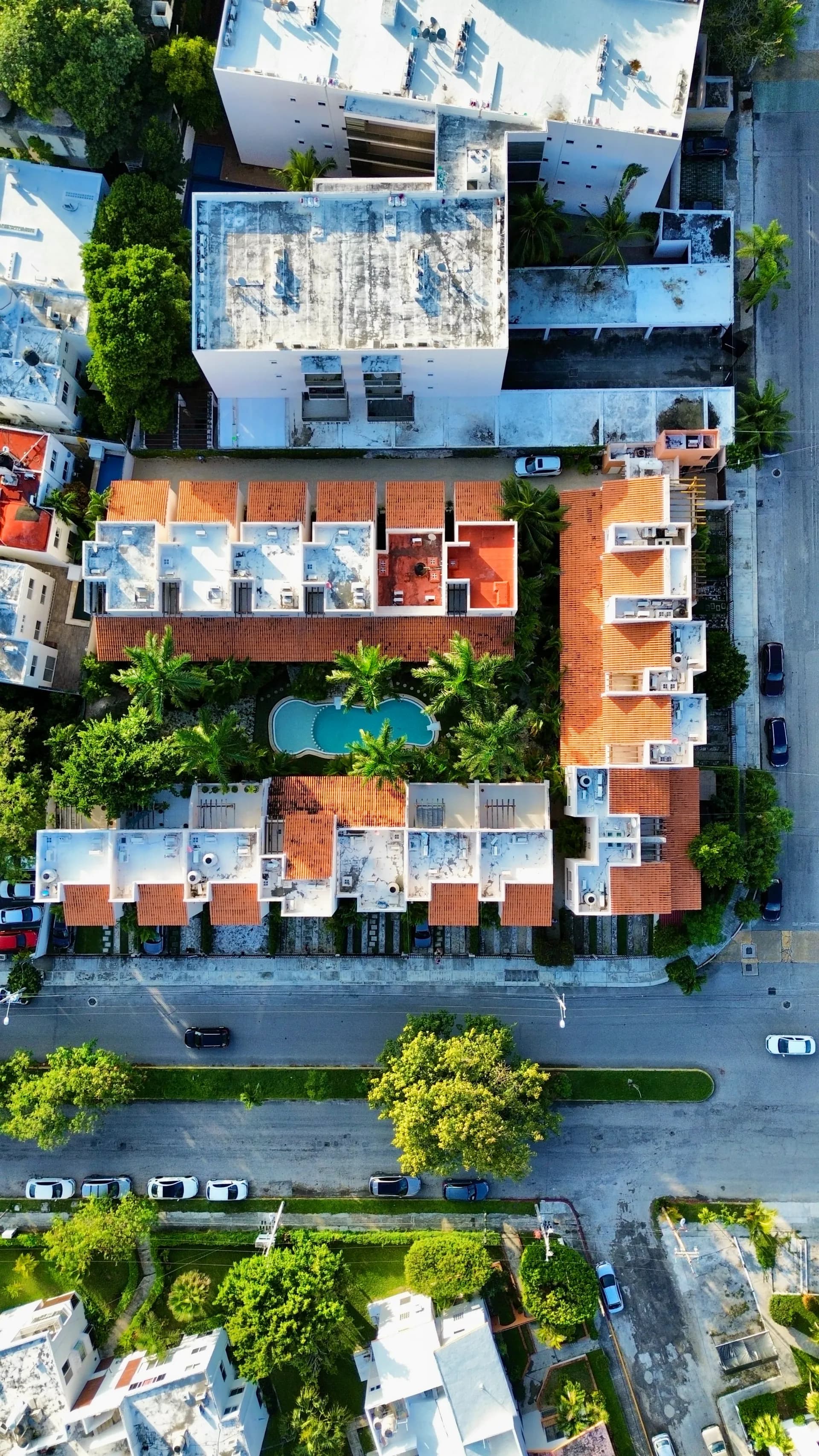 dji fly 20250114 171640 289 1736893143828 photo optimized